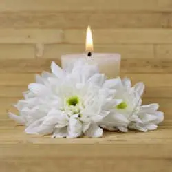 bloem met kaars Piano met viool en cello